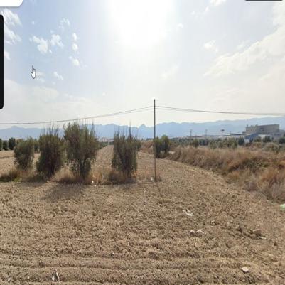 25VIV10219_lote 1.jpg